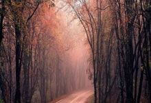 大连身心健康，一方的崛起之路：挑战排名，重塑荣光！