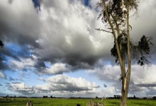 剑指三连！国安主场烽烟再起，谁能阻挡重庆力帆的脚步？