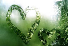 铿锵玫瑰，战意正浓：波兰女足全力以赴，迎接新挑战