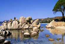 大连身心健康，一方的崛起之路：挑战排名，重塑荣光！